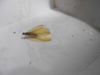 DSCN0067.JPG