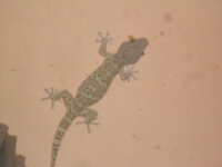 DSCN0065.JPG