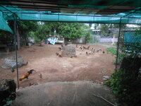 DSCN0041.JPG