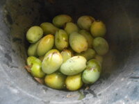DSCN0072.JPG