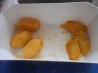 DSCN0074.JPG
