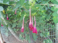 DSCN9893.JPG