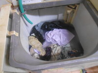 DSCN0078.JPG