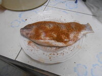 DSCN0092.JPG