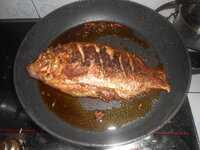 DSCN0097.JPG