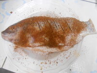 DSCN0093.JPG