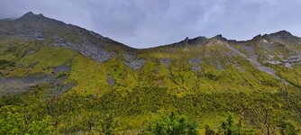 IMG_20230913_155408.jpg