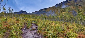 IMG_20230912_144413.jpg