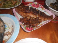 DSCN0103.JPG DSCN0103.JPG