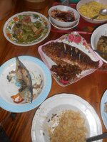 DSCN0099~2.JPG DSCN0099~2.JPG