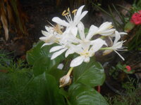 DSCN9935.JPG