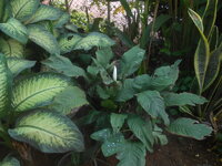 DSCN9957.JPG DSCN9957.JPG