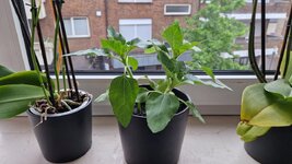 20260616_063101.jpg