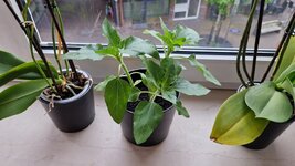 20260616_063057.jpg