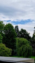 20260617_111913.jpg