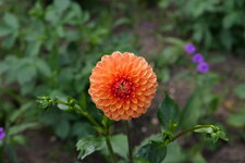P1000076.JPG