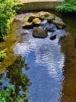 IMG_20260618_182100.jpg