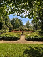IMG_20260618_181618.jpg