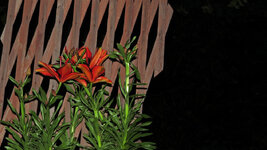 balcony.jpg