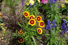 P1000105.JPG