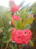 DSCN9933~2.JPG