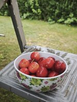 IMG_20260621_100946.jpg