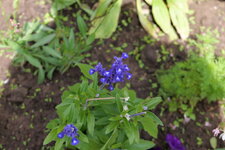 P1000108.JPG
