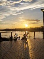 IMG_20260619_183159.jpg