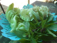 DSCN0508.JPG