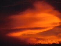 DSCN0399.JPG