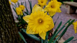 20260409_091436.jpg