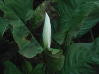 DSCN9958.JPG