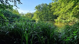 20260622_074340.jpg