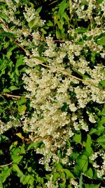 20260622_074756.jpg