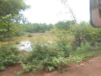 DSCN2277.JPG DSCN2277.JPG