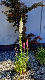 20260528_085743.jpg