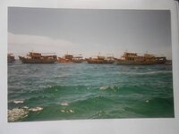 IMG-20260517-WA0169.jpg
