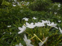 DSCN0116.JPG