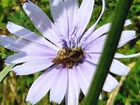 20260623_090731.jpg