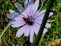 20260623_090729.jpg