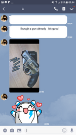 Pistole 2.png