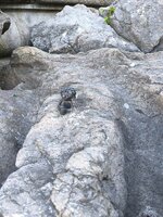 IMG_20260622_0721291.jpg