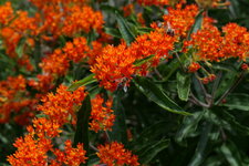 P1000200.JPG