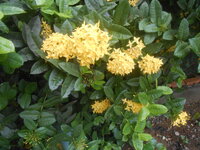 DSCN0118.JPG