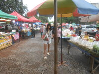 DSCN9993.JPG DSCN9993.JPG