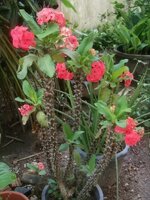 DSCN0181~2.JPG