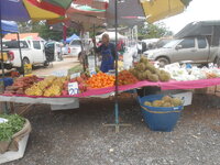 DSCN0022.JPG