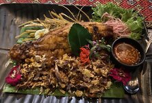 IMG_2034.jpeg