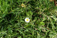 P1000123.JPG