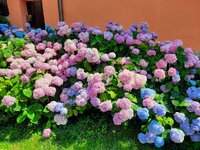 d39d4aeab45745cfbc254c0a3a58d113.jpg